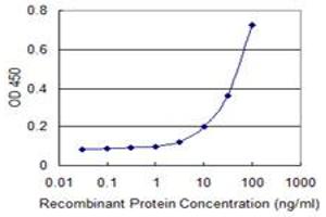 Detection limit for recombinant GST tagged FOXC2 is 1 ng/ml as a capture antibody. (FOXC2 Antikörper  (AA 156-256))