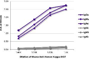 ELISA plate was coated with purified human IgGκ, IgMκ, IgAκ, IgGλ, IgMλ, and IgAλ. (Maus anti-Human Immunoglobulin kappa Chain Complex (Igk) Antikörper (Biotin))