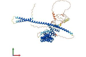 Protein Structure (PS) image for Kinesin Light Chain 2 (KLC2) (AA 1-622) protein (His tag) (ABIN7548712)