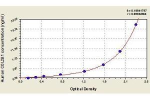Typical standard curve (COL2A1 ELISA Kit)