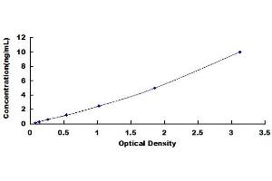 Typical Standard Curve (ERCC2 ELISA Kit)