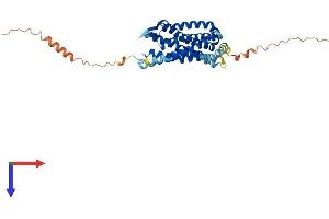 CCR2 Protein (AA 1-373) (His tag)
