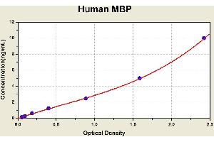 Diagramm of the ELISA kit to detect Human MBPwith the optical density on the x-axis and the concentration on the y-axis. (MBL2 ELISA Kit)