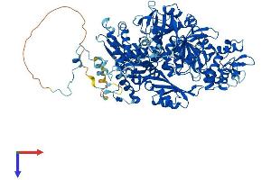 EFTUD2 Protein (AA 1-972) (His tag)