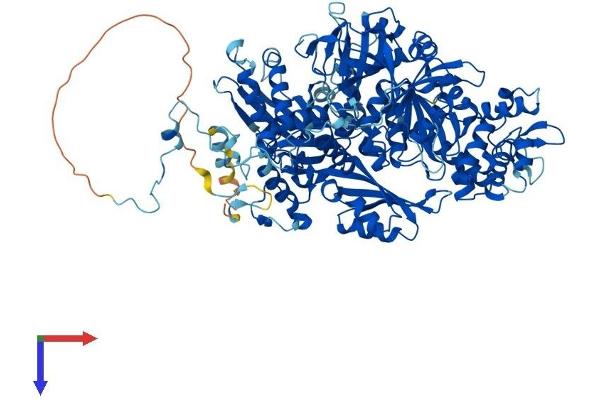EFTUD2 Protein (AA 1-972) (His tag)
