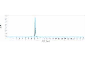 The purity of Anti-ENPP3 / CD203c Reference Antibody (Ags-16C3F) is more than 95 % , determined by SEC-HPLC.