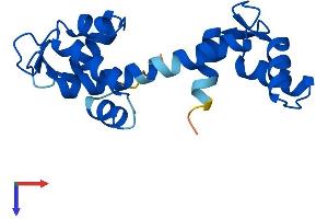 AlphaFold protein structure predicition of Mouse Recombinant Cetn4 Protein, UniprotID Q8K4K1