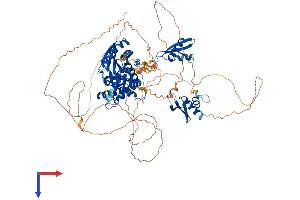 Interleukin enhancer-binding factor 3 (ILF3) (AA 1-894) protein (His tag)