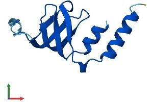 Protein Structure (PS) image for LSM2 Homolog, U6 Small Nuclear RNA Associated (LSM2) (AA 1-95) protein (His tag) (ABIN7549165)