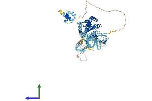 Protein Structure (PS) image for Fas (TNFRSF6) Associated Factor 1 (FAF1) (AA 1-650) protein (His tag) (ABIN7547502)