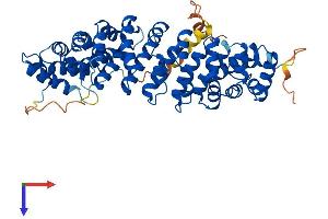 KPNA7 Protein (AA 1-499) (His tag)