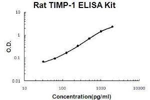 Rat TIMP-1 PicoKine ELISA Kit standard curve (TIMP1 ELISA Kit)