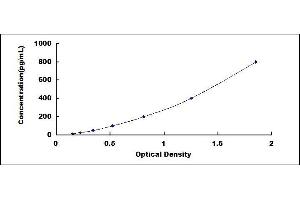 Typical standard curve (ENHO ELISA Kit)