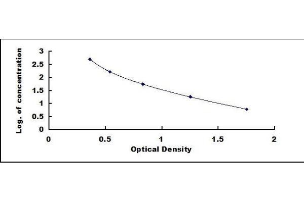 C-Peptide ELISA Kit