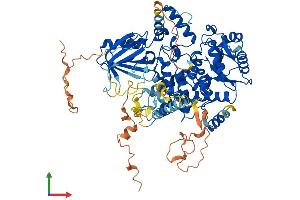 Protein Structure (PS) image for Myotubularin Related Protein 10 (MTMR10) (AA 1-771) protein (His tag) (ABIN7558249)