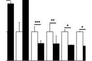 Inverse correlation between DMP and mRNA levels of target genes. (PLCH1 Antikörper)