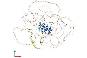 AlphaFold protein structure predicition of Human Recombinant PROSER1 Protein, UniprotID Q86XN7 (PROSER1 Protein (AA 1-944) (His tag))