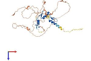 EGR3 Protein (AA 1-387) (His tag)