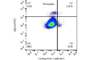 Flow cytometry analysis (surface staining) of CD85g in human buffy coat cells with anti-CD85g (17G10. (LILRA4 Antikörper)