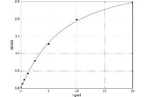 A typical standard curve
