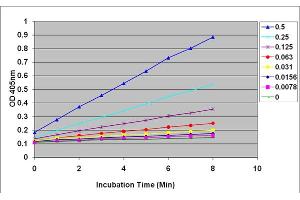 GSSG Standard Curve. (OxiSelect™ Total Glutathione (GSSG/GSH) Assay Kit)