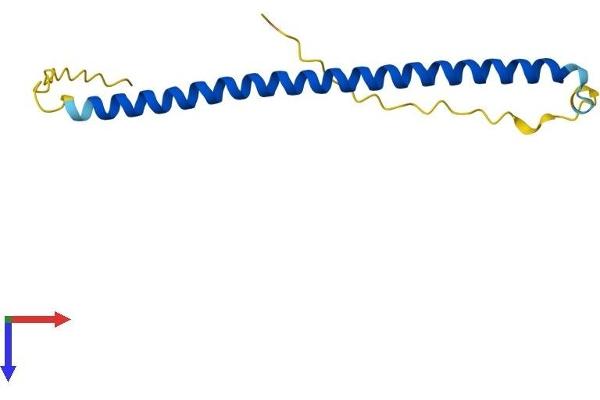 BATF Protein (AA 1-125) (His tag)