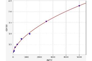 Typical standard curve (VEGFR2/CD309 ELISA Kit)