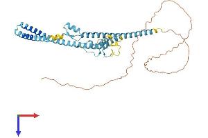 LUC7L2 Protein (AA 1-392) (His tag)
