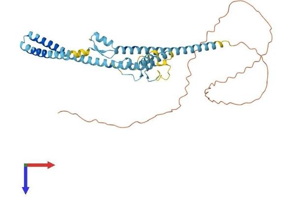 LUC7L2 Protein (AA 1-392) (His tag)