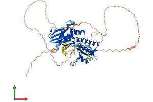 AlphaFold protein structure predicition of Human Recombinant PIP5K1B Protein, UniprotID O14986 (PIP5K1B Protein (AA 1-540) (His tag))