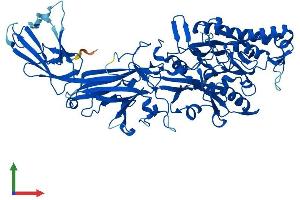 Protein Structure (PS) image for Peptidyl Arginine Deiminase, Type I (PADI1) (AA 1-662) protein (His tag) (ABIN7556377)