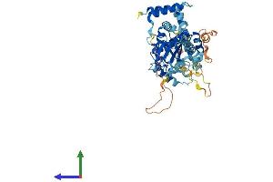 TIGD4 Protein (AA 1-512) (His tag)
