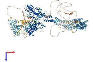 KDM5B Protein (AA 1-1544) (His tag)