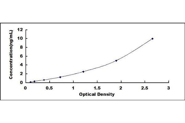 MMP7 ELISA Kit