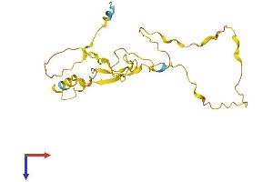 CDIP1 Protein (AA 1-208) (His tag)