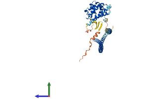 Protein Structure (PS) image for RUN and FYVE Domain Containing 3 (RUFY3) (AA 1-469) protein (His tag) (ABIN7555306)