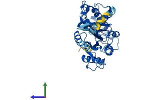 Protein Structure (PS) image for Guanine Nucleotide Binding Protein (G Protein), Q Polypeptide (GNAQ) (AA 1-359) protein (His tag) (ABIN7548121)