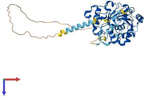 ST3GAL5 Protein (AA 1-418) (His tag)