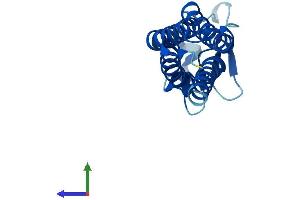 AlphaFold protein structure predicition of Mouse Recombinant Emp2 Protein, UniprotID O88662 (EMP2 Protein (AA 1-172) (His tag))