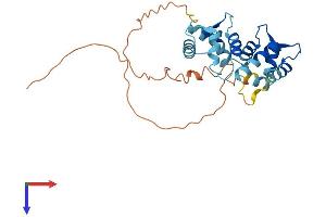 KCNIP2 Protein (AA 1-270) (His tag)