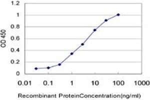 Detection limit for recombinant GST tagged SIX4 is approximately 0.