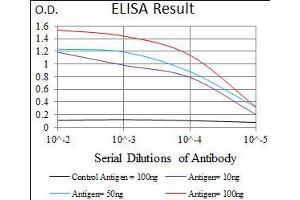 Black line: Control Antigen (100 ng), Purple line: Antigen(10 ng), Blue line: Antigen (50 ng), Red line: Antigen (100 ng), (DNAL4 Antikörper  (AA 1-105))
