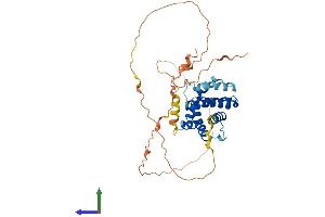Protein Structure (PS) image for Induced Myeloid Leukemia Cell Differentiation Protein Mcl-1 (MCL1) (AA 1-350) protein (His tag) (ABIN7549359)