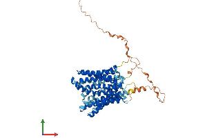 Protein Structure (PS) image for Monocarboxylate Transporter 3 (MCT3) (AA 1-492) protein (His tag) (ABIN7562298)