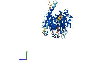 Protein Structure (PS) image for Ceramide Kinase (CERK) (AA 1-537) protein (His tag) (ABIN7553123)