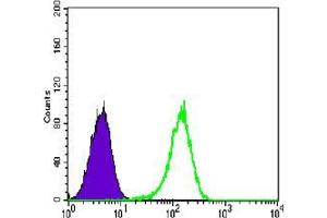 Flow Cytometry (FACS) image for anti-Nuclear Receptor Subfamily 3, Group C, Member 1 (Glucocorticoid Receptor) (NR3C1) antibody (ABIN969321)