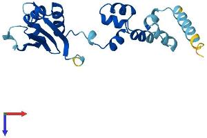 FBXO36 Protein (AA 1-188) (His tag)