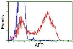 HEK293T cells transfected with either RC206622 overexpress plasmid (Red) or empty vector control plasmid (Blue) were immunostained by anti-AFP antibody (ABIN2452713), and then analyzed by flow cytometry. (alpha Fetoprotein Antikörper)