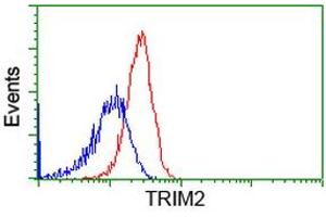 Flow cytometric Analysis of Hela cells, using anti-TRIM2 antibody (ABIN2453851), (Red), compared to a nonspecific negative control antibody, (Blue). (TRIM2 Antikörper  (AA 1-100, AA 645-744))
