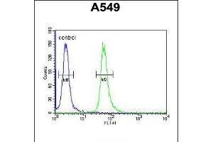 Flow cytometric analysis of A549 cells (right histogram) compared to a negative control cell (left histogram). (GNAT3 Antikörper  (AA 78-105))